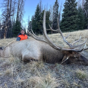 Hunter with heavy-antlered bull elk from guided Wyoming elk hunt